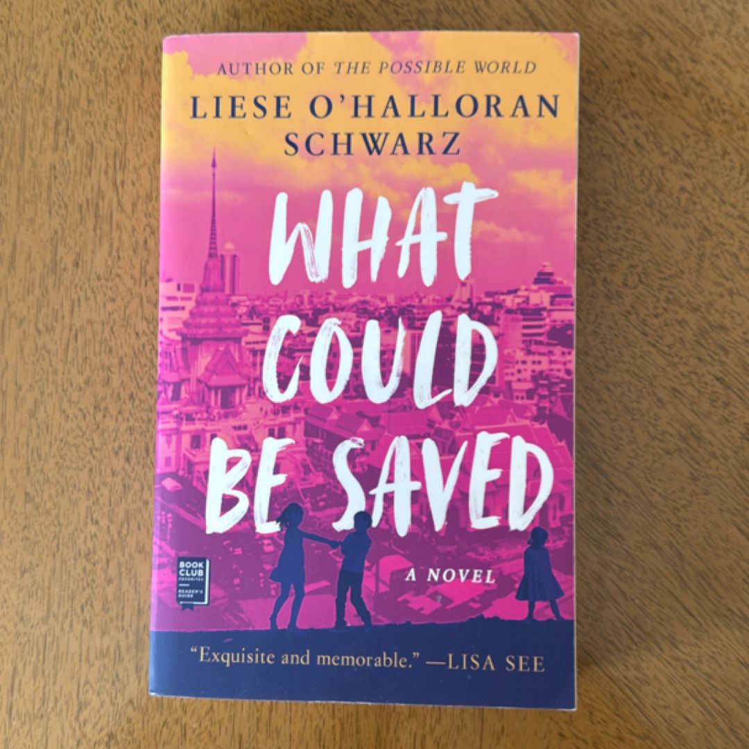 What Could Be Saved