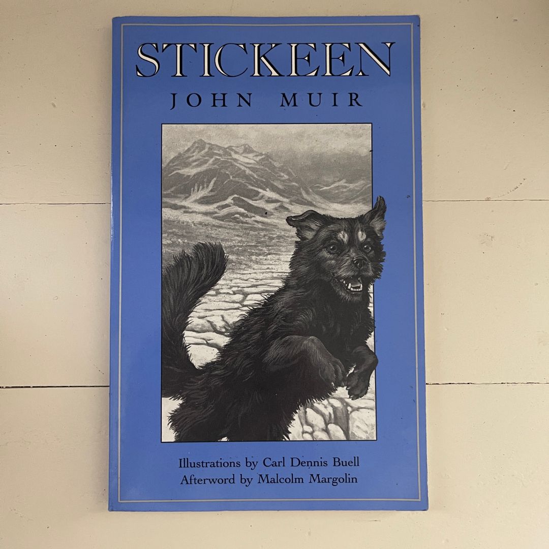 Stickeen