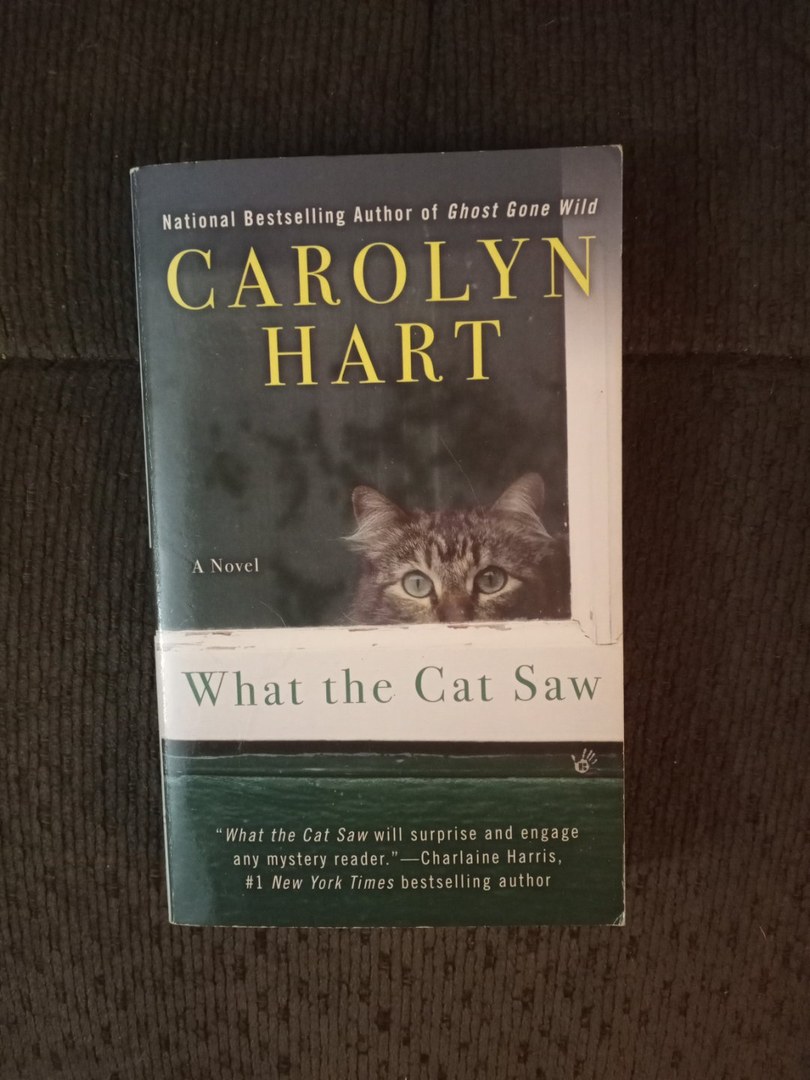 What the Cat Saw