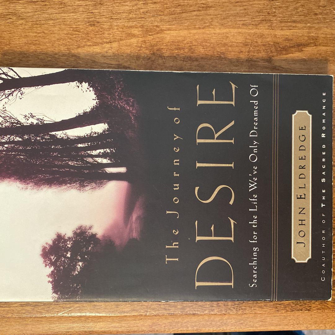 The Journey of Desire