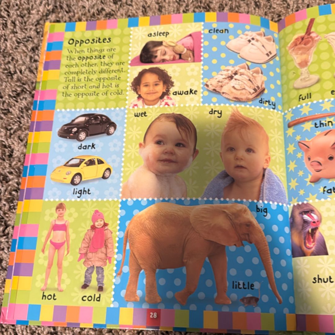 My 2 in 1 Picture Dictionary