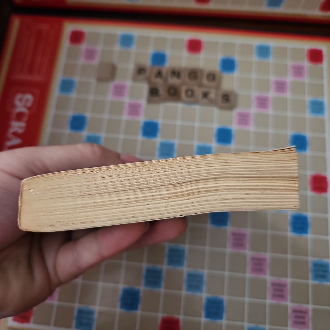 The Shadow of the Ship