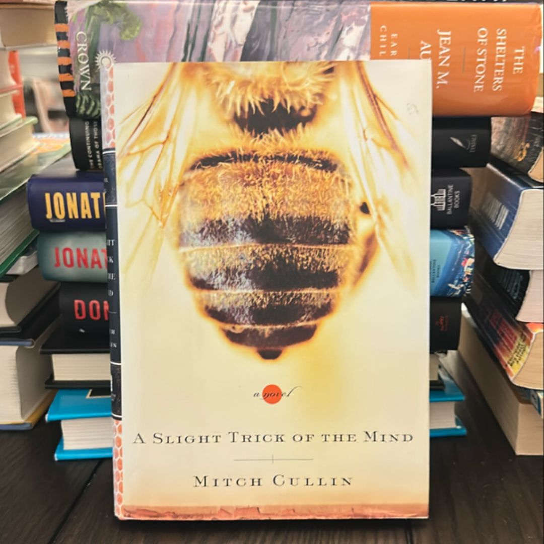 A Slight Trick of the Mind