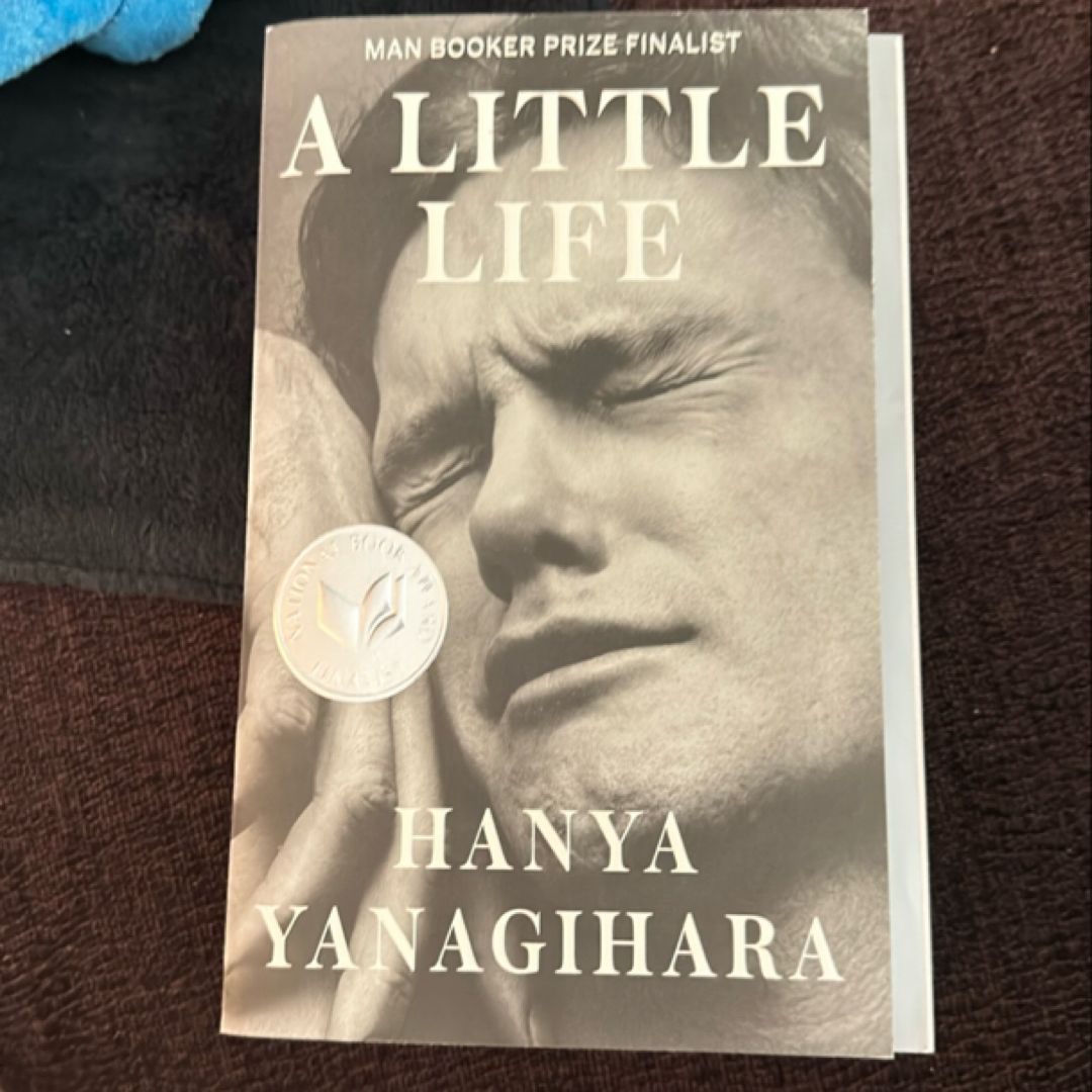 A Little Life