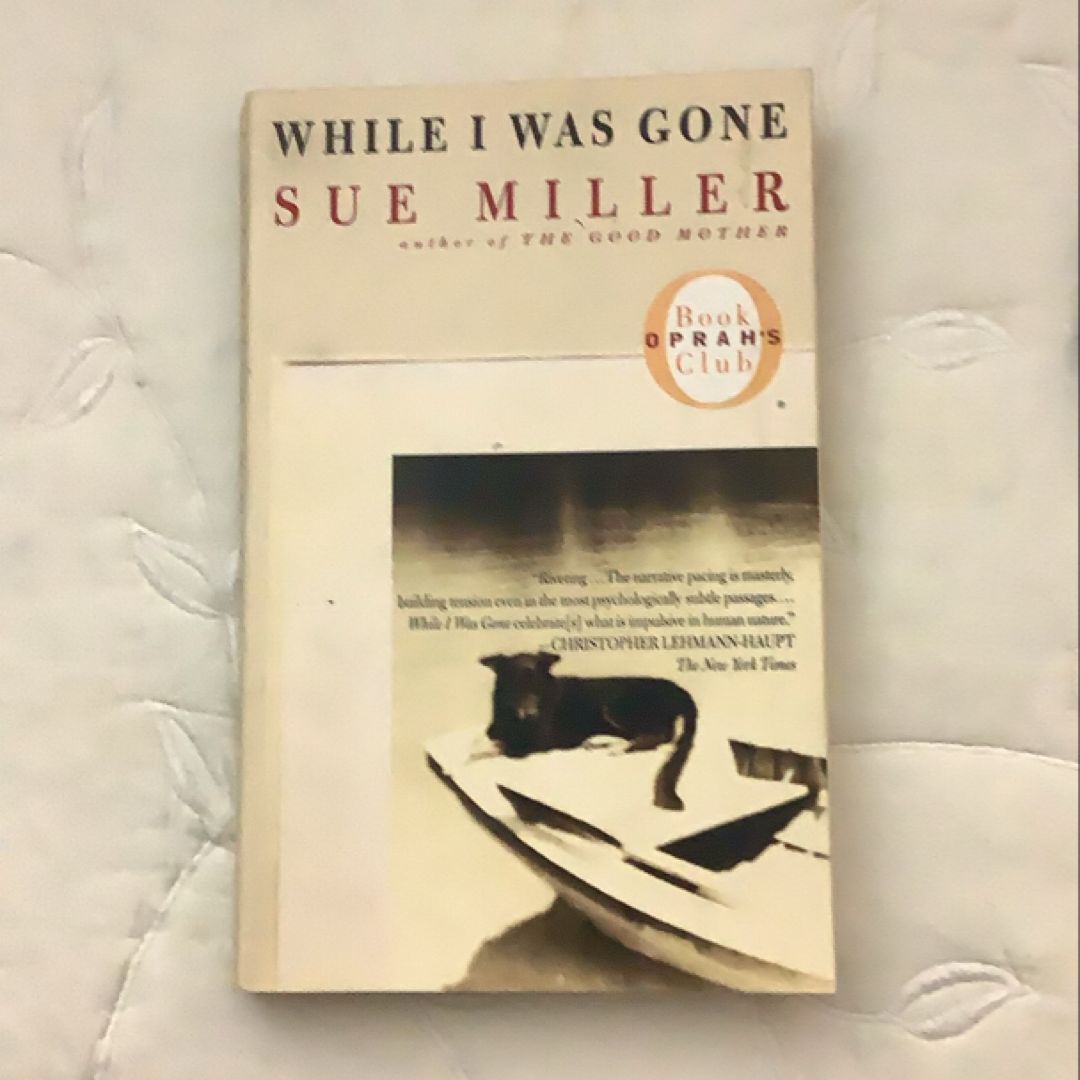 While I Was Gone