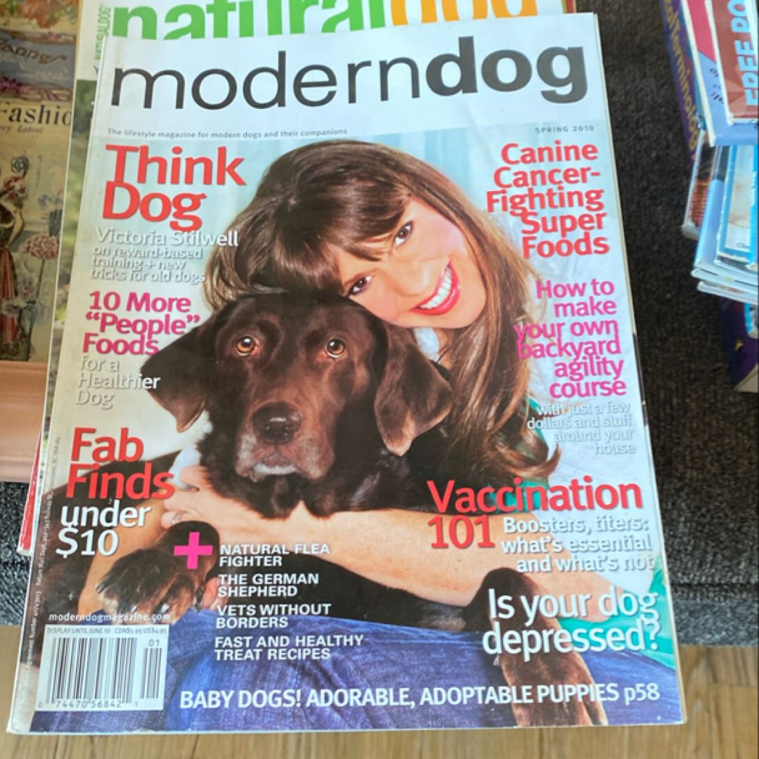 Modern Dog