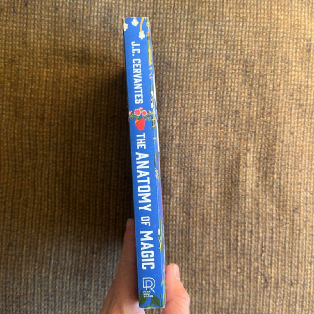 The Anatomy of Magic by J. C. Cervantes