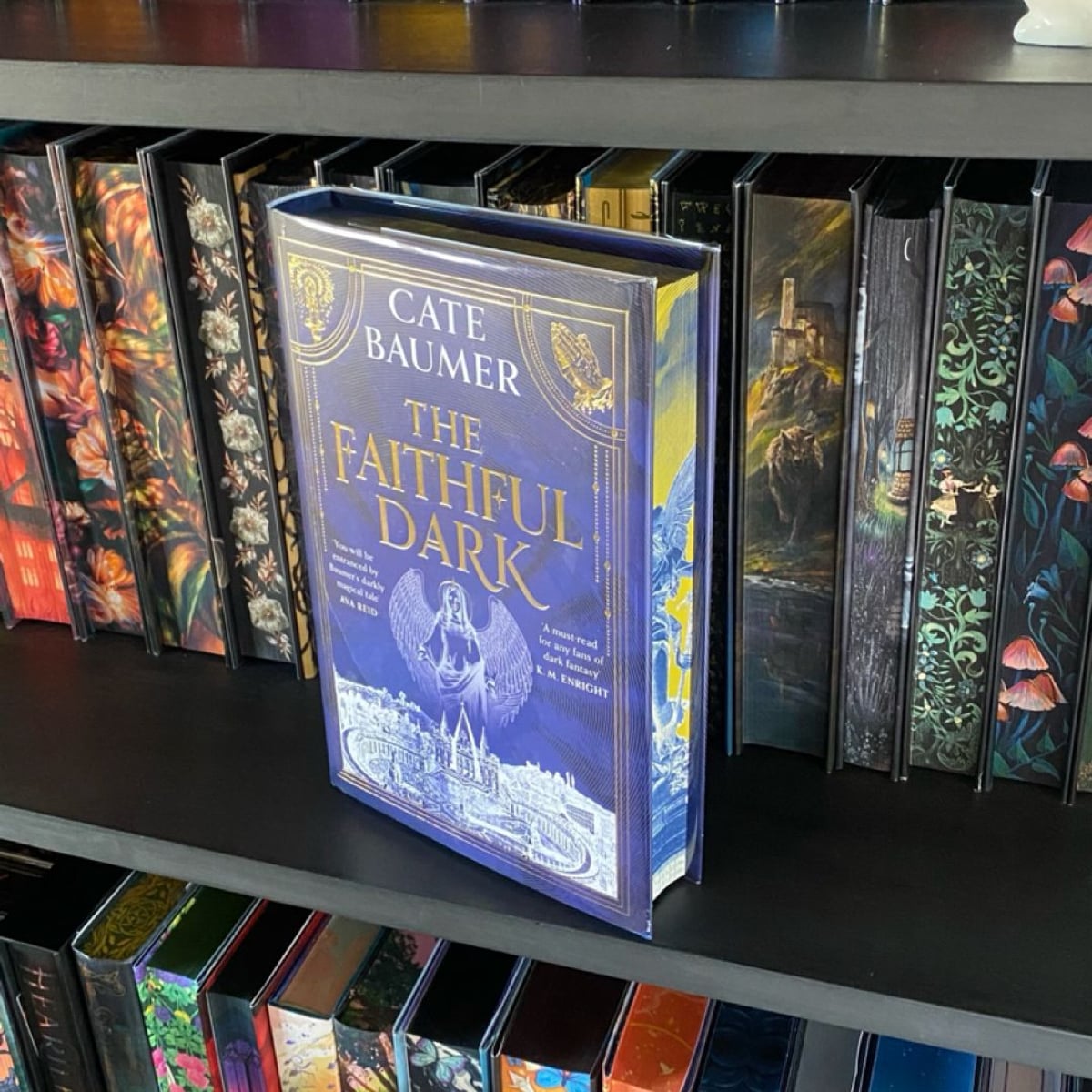 SIGNED & NUMBERED The Faithful Dark GSFF | PangoBooks