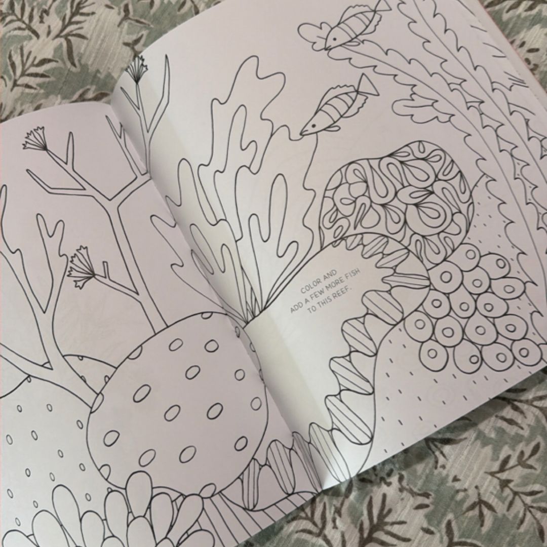 Draw, Color, and Sticker Nature Sketchbook