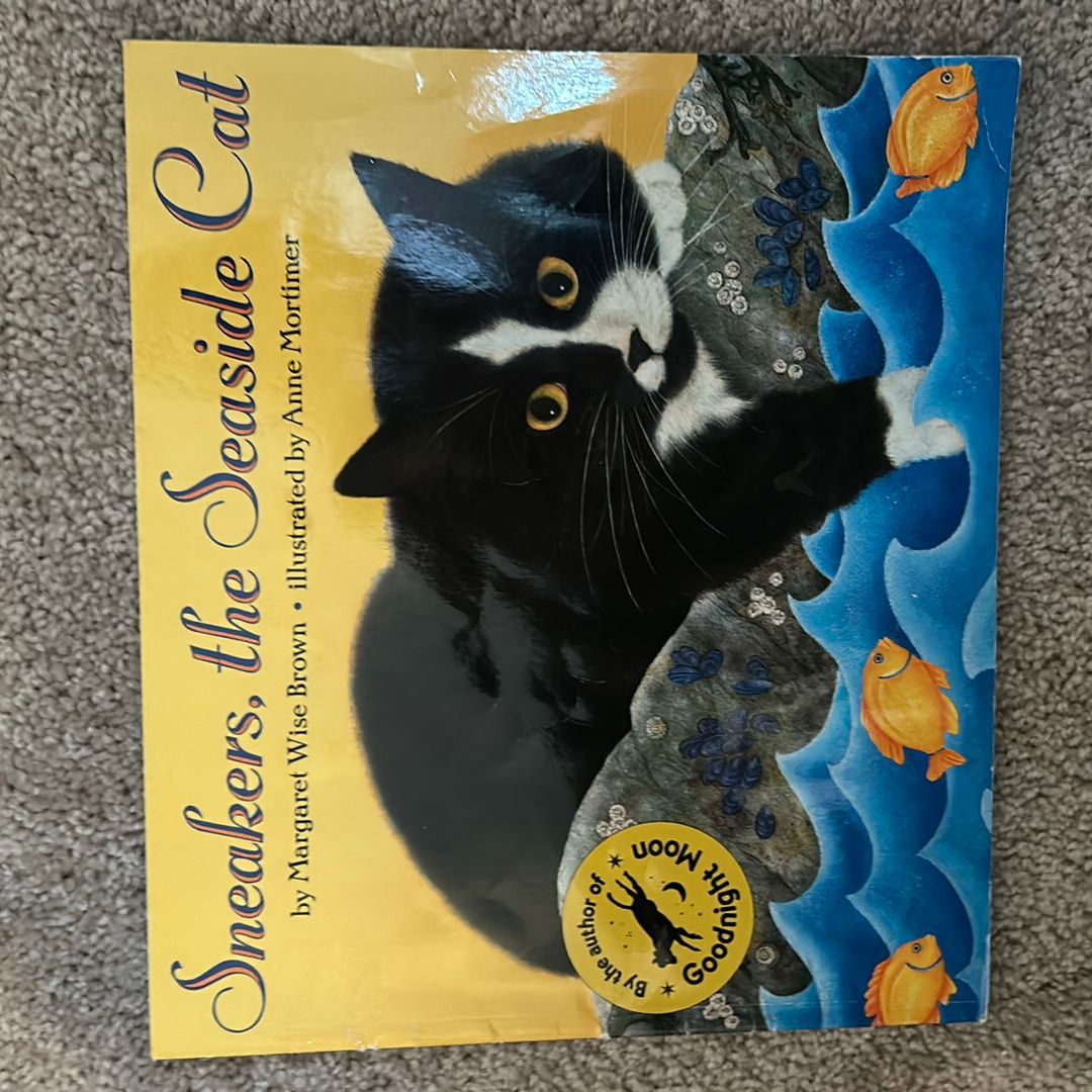 Sneakers, the Seaside Cat