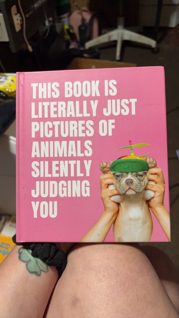 This Book Is Literally Just Pictures of Animals Silently Judging You