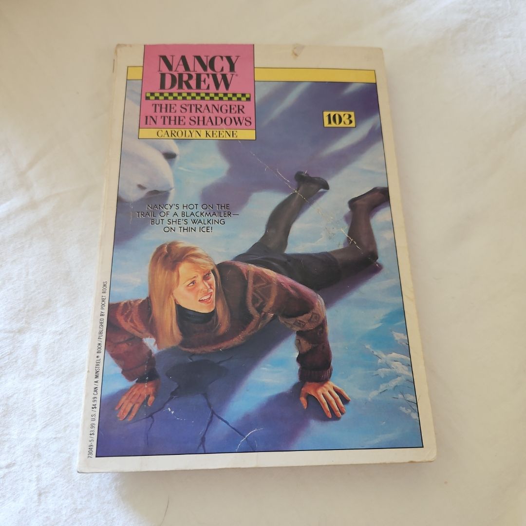 The Stranger in the Shadows