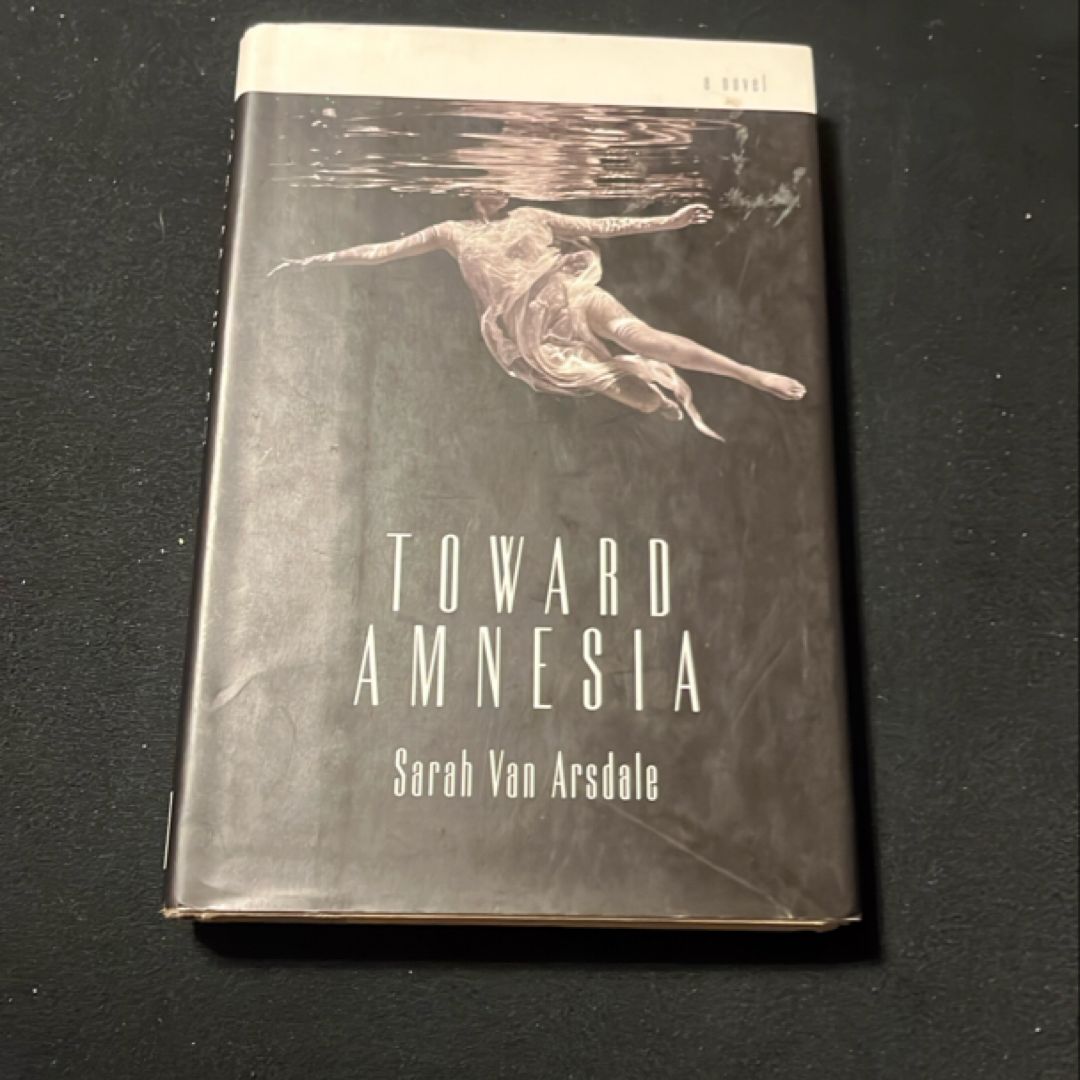 Toward Amnesia