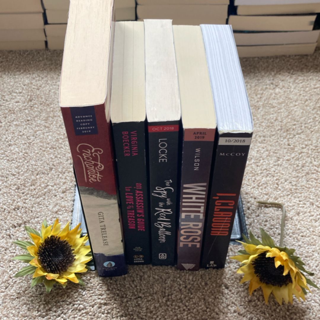 YA Historical Fiction/Fantasy ARC Bundle 5 Books (1) by Virginia ...