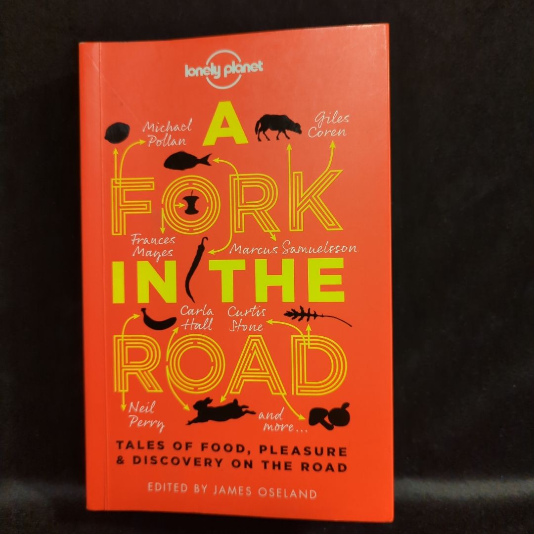 Lonely Planet a Fork in the Road 1