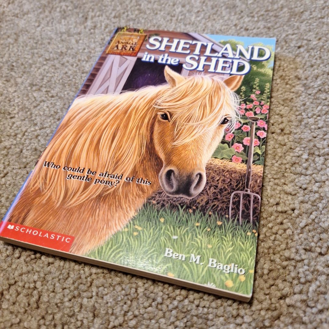 Shetland in the Shed
