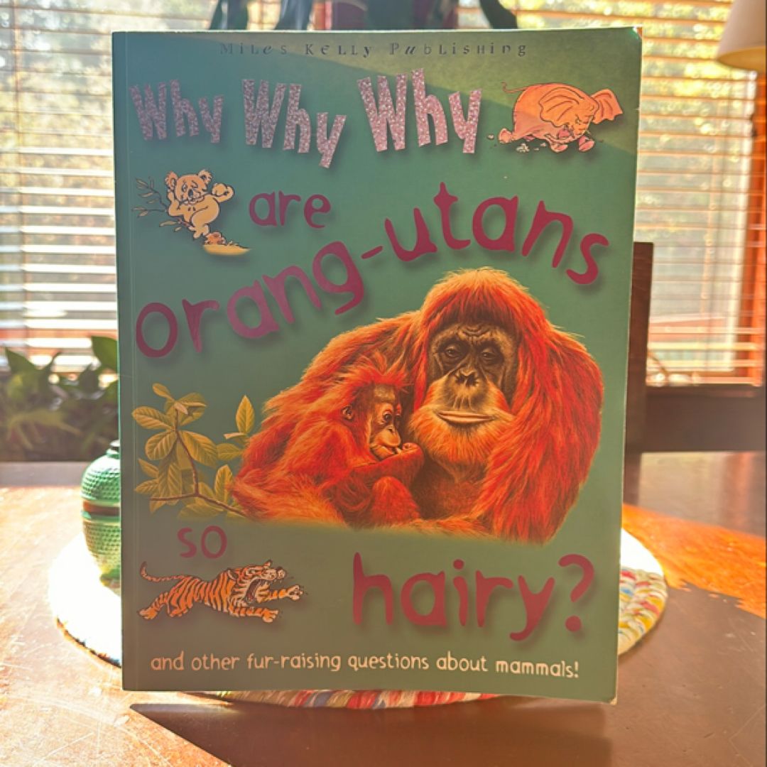 Do Orang Utangs Live in Trees