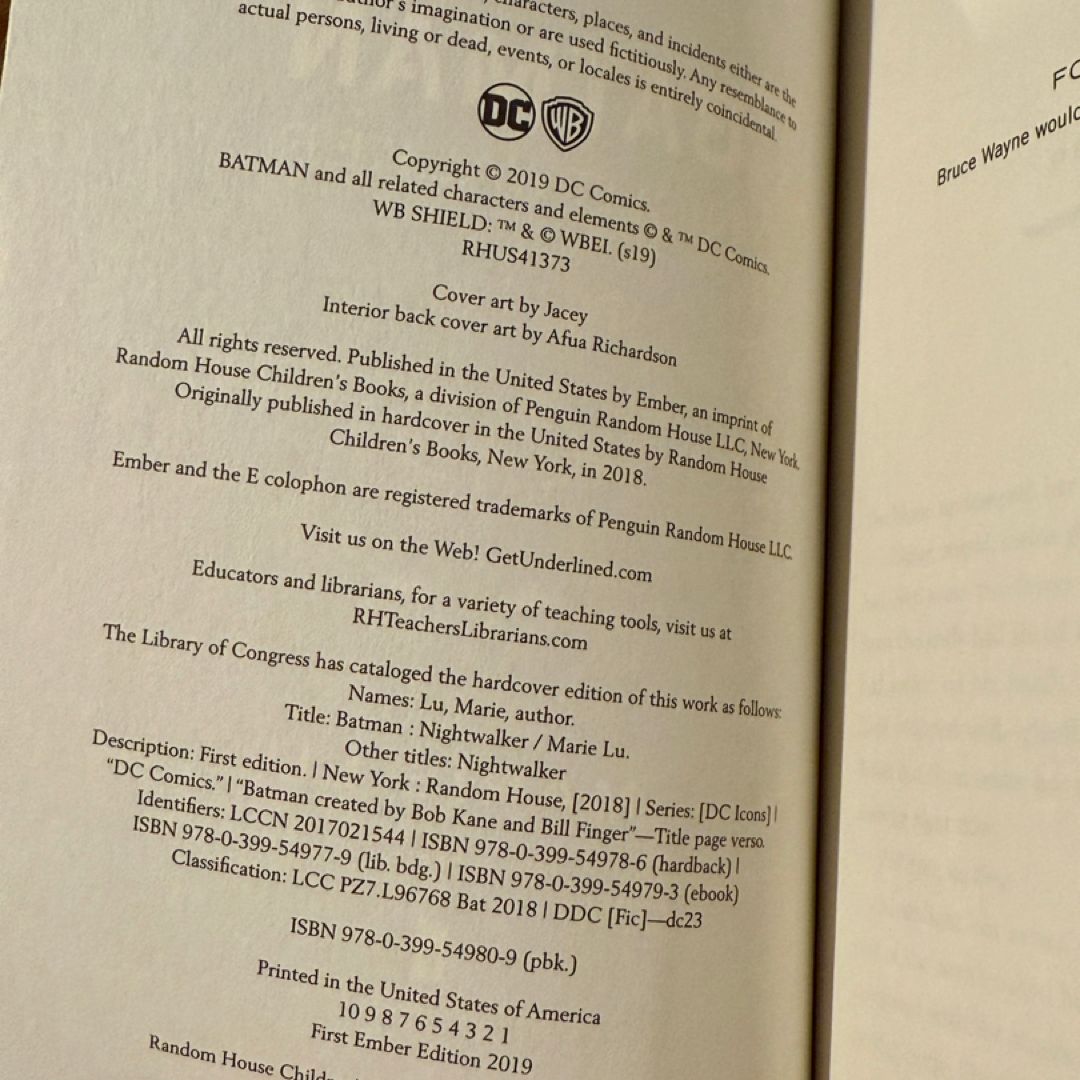 *Sprayed Edges* Batman: Nightwalker