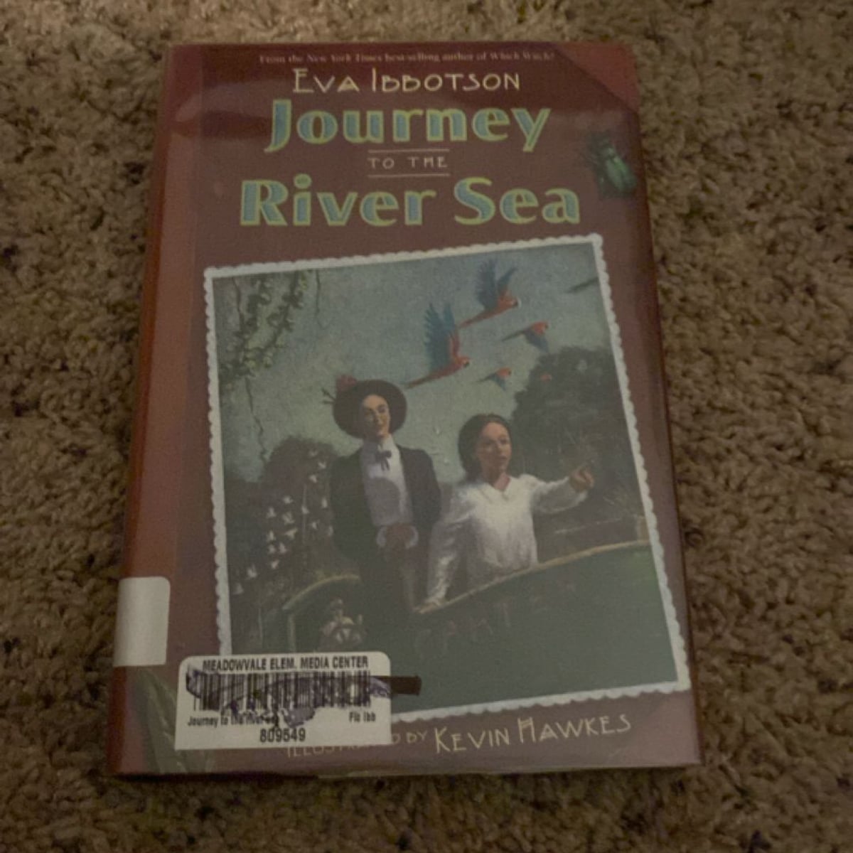 Journey to the River Sea by Eva Ibbotson