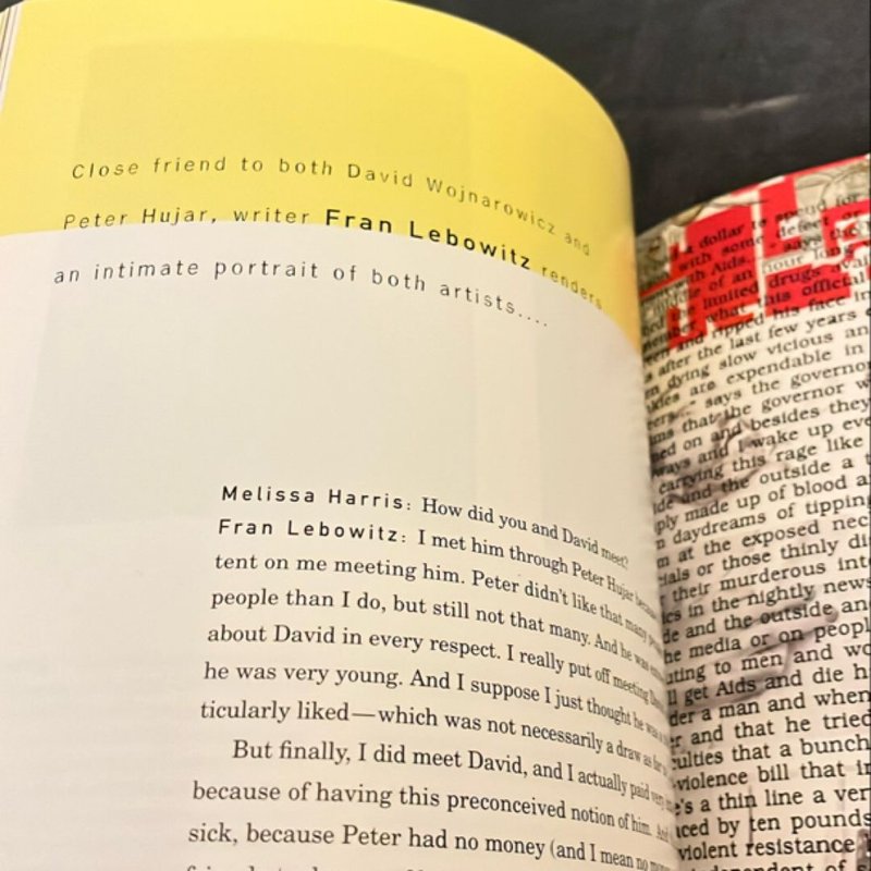 David Wojnarowicz by David Wojnarowicz, Paperback | Pangobooks