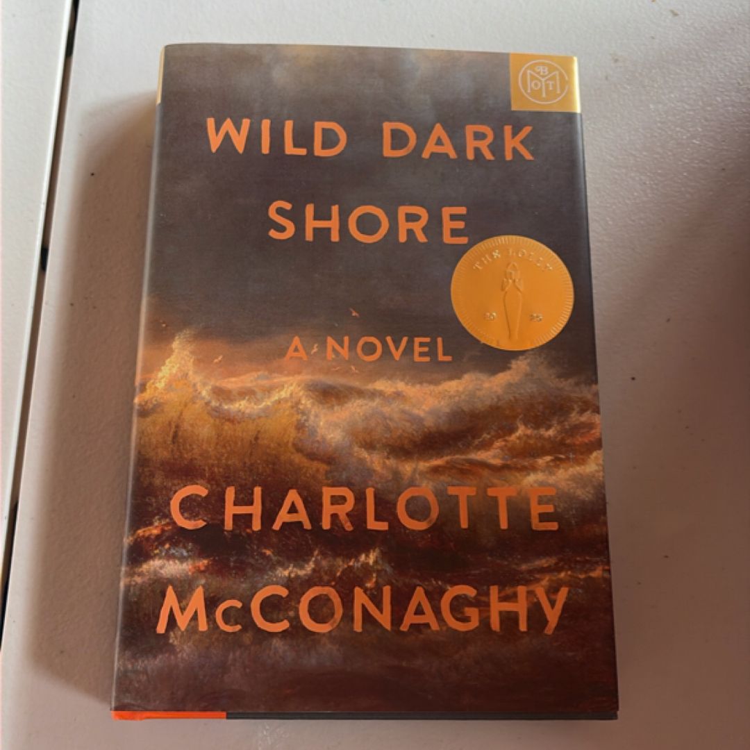 Wild Dark Shore