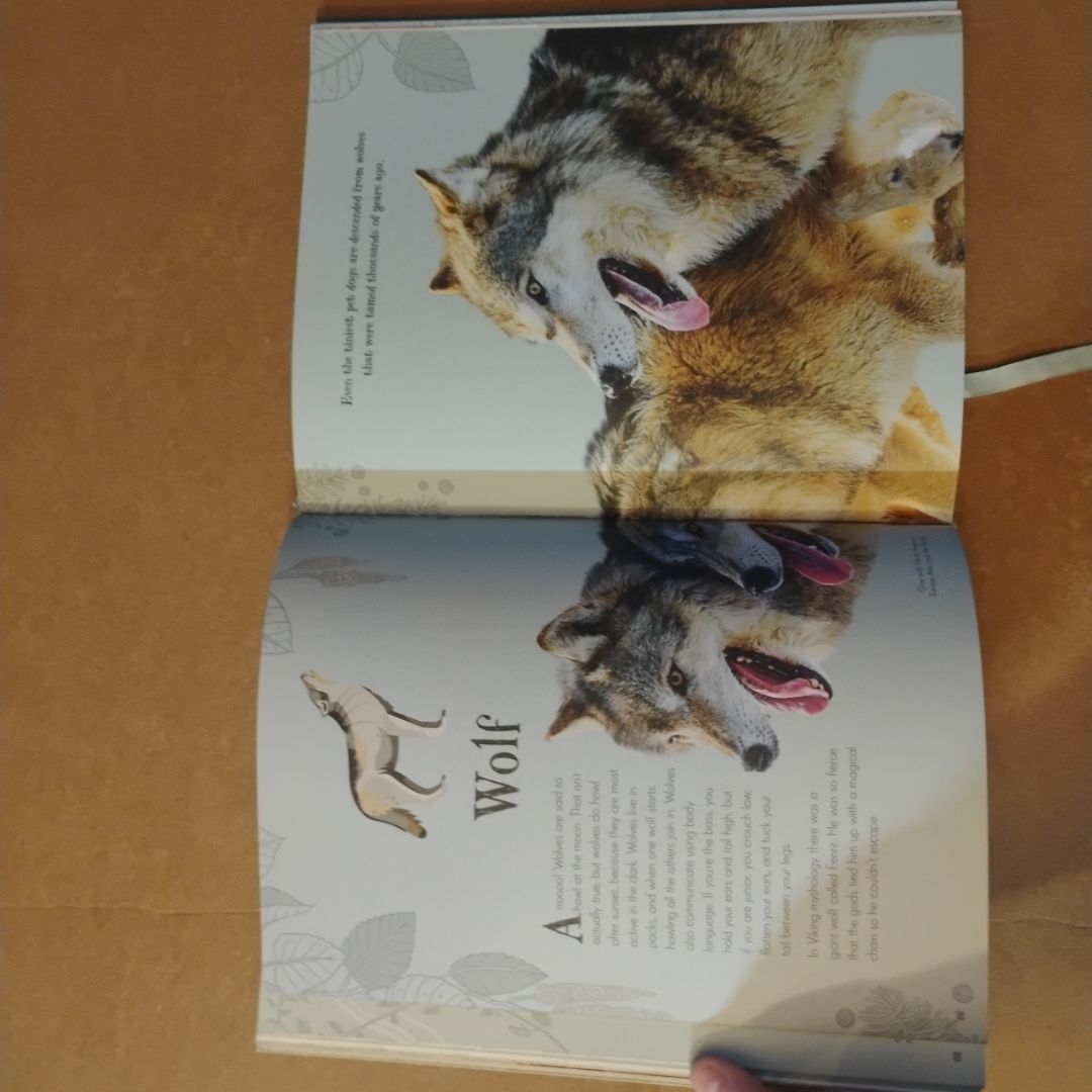 An Anthology of Intriguing Animals