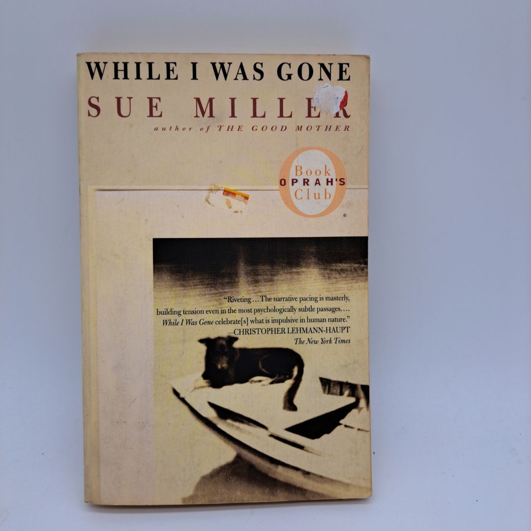While I Was Gone