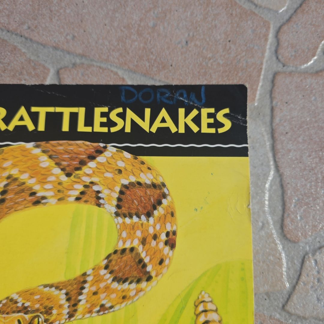 All about Rattlesnakes by Jim Arnosky
