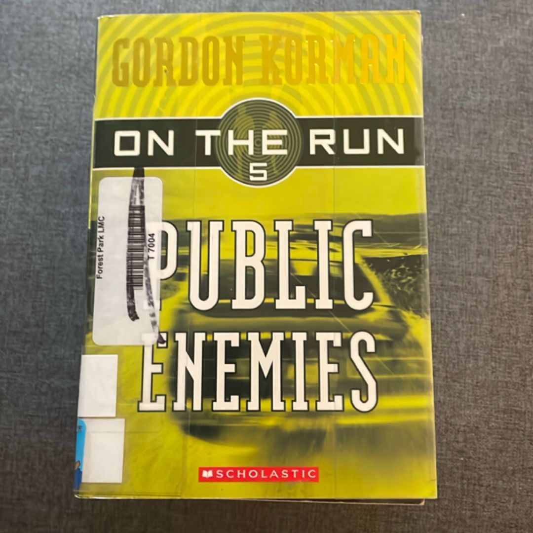 Public Enemies