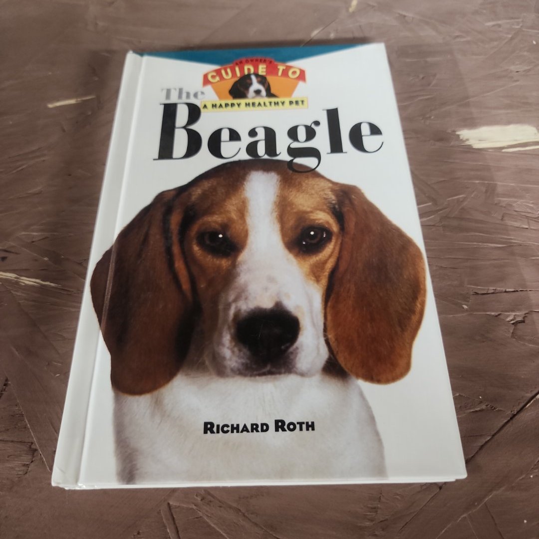 Beagle
