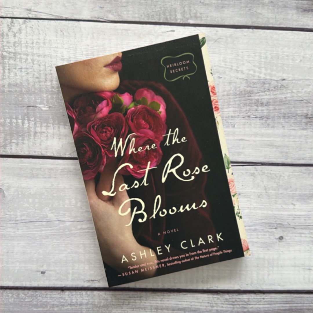 Where the Last Rose Blooms