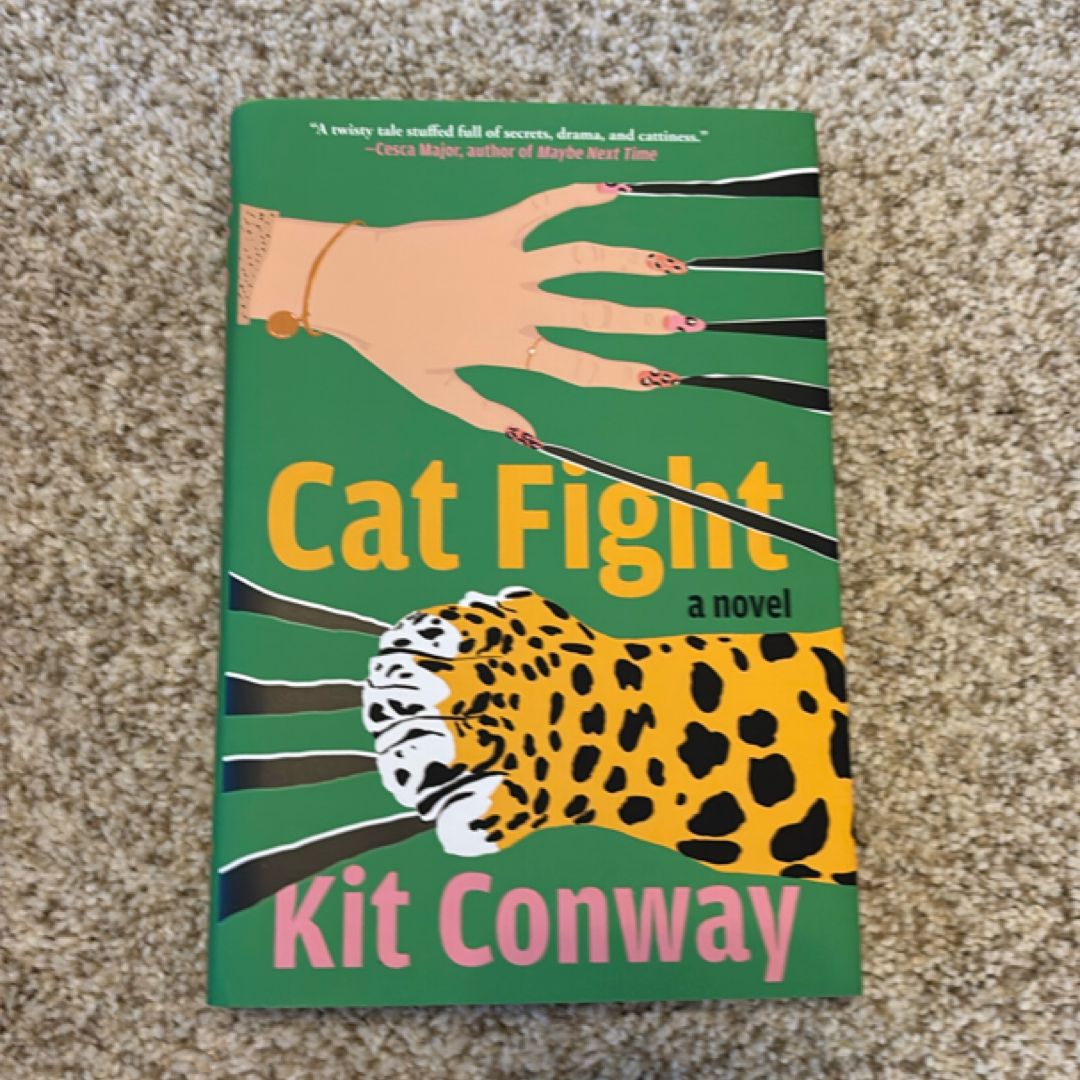 Cat Fight