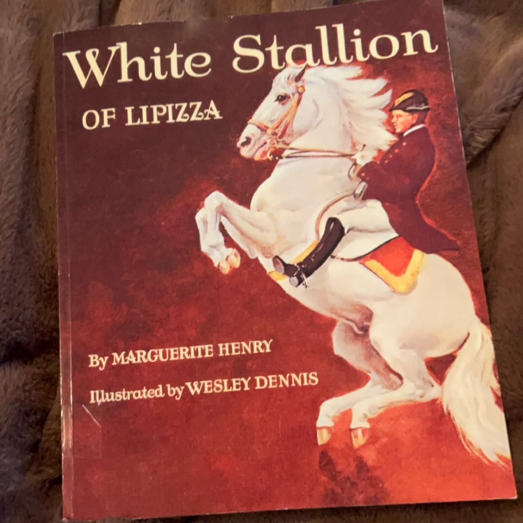 White Stallion of Lipizza