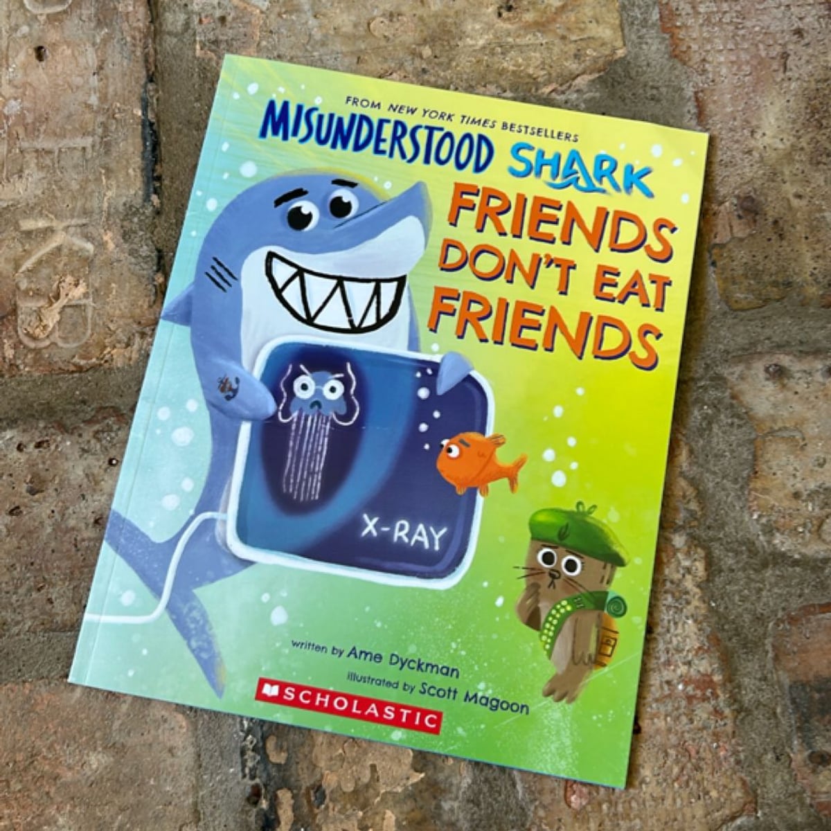 Misunderstood Shark by Ame Dyckman