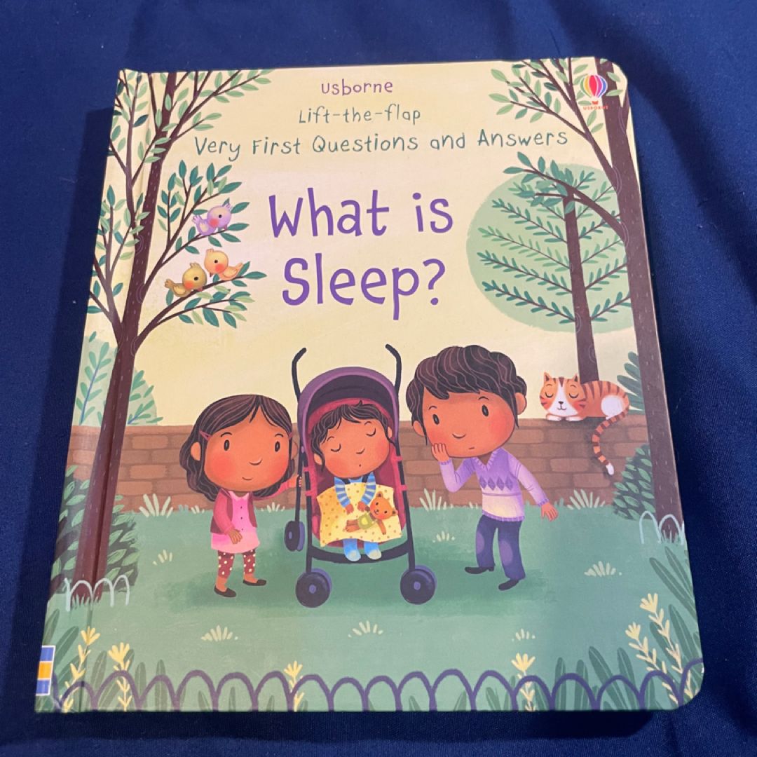 Lift-The-Flap Very First Questions and Answers What Is Sleep?