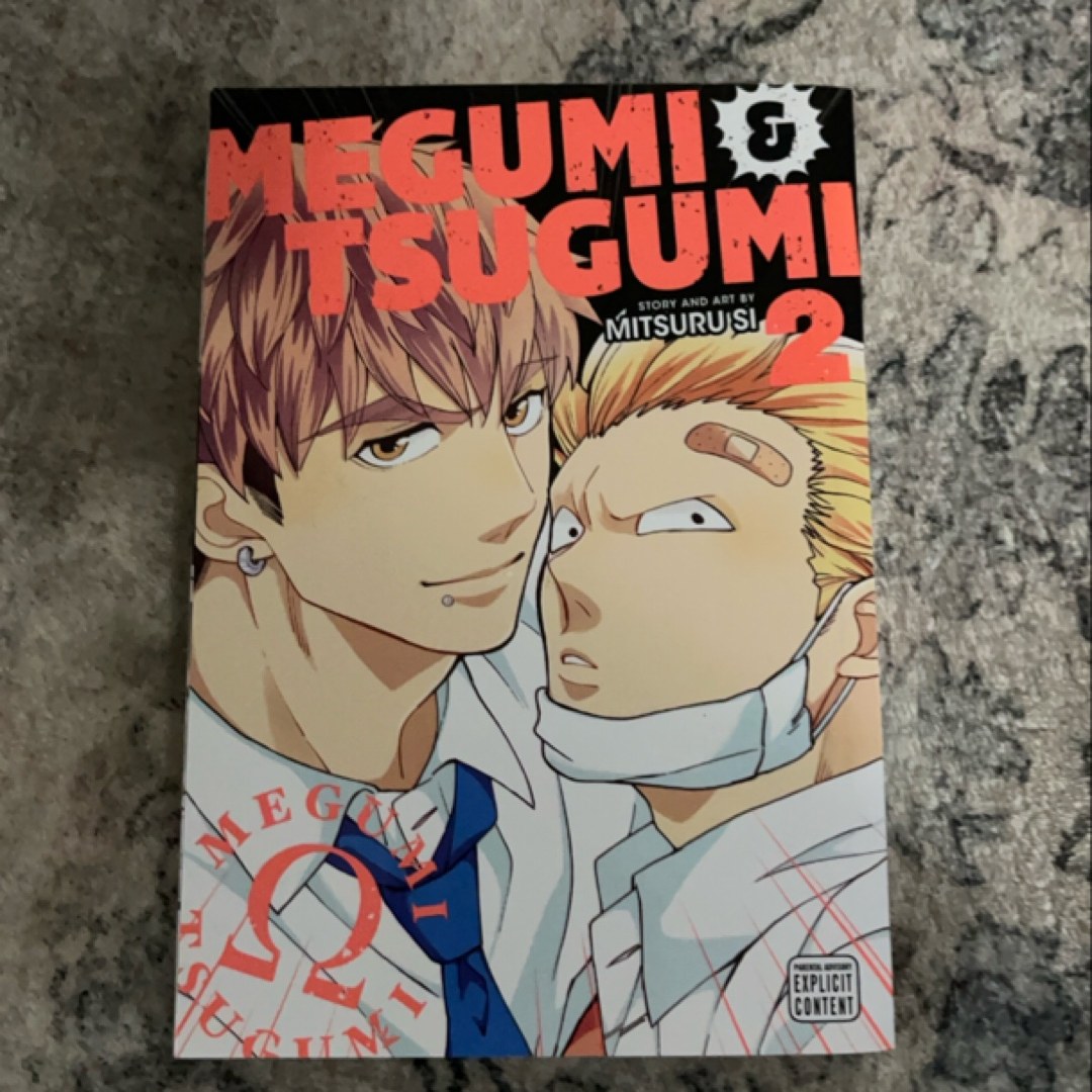 Megumi and Tsugumi, Vol. 2