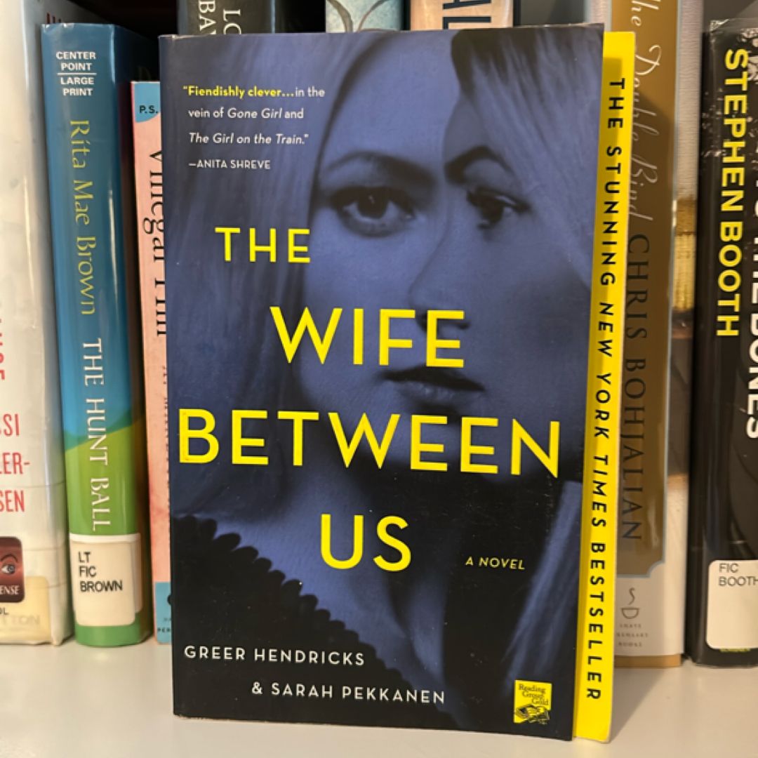 The Wife Between Us