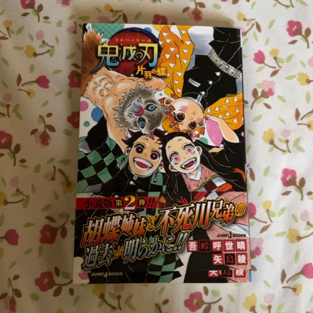 Kimetsu no Yaiba: One Winged Butterfly (Japanese edition)