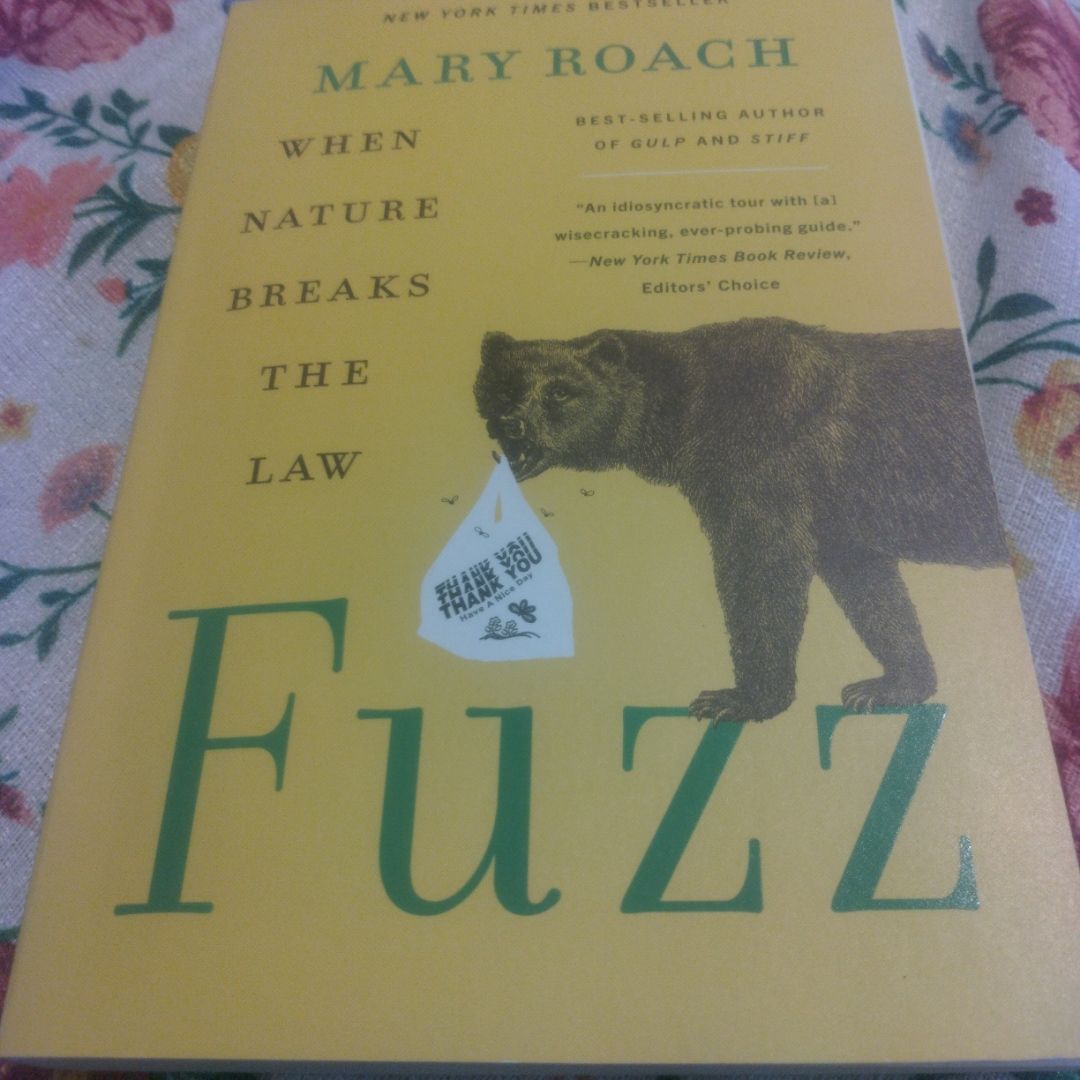 Fuzz