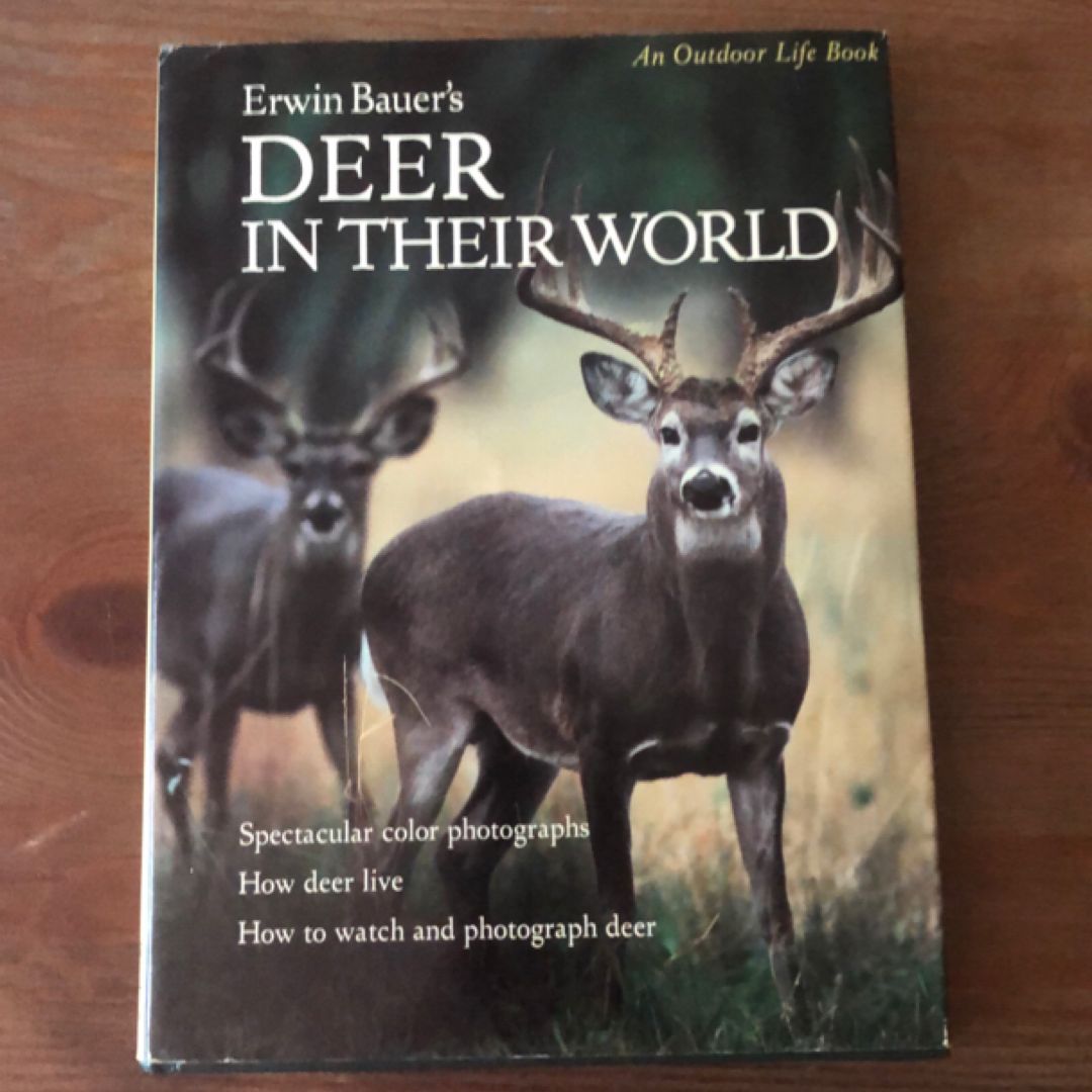 Deer in Their World 