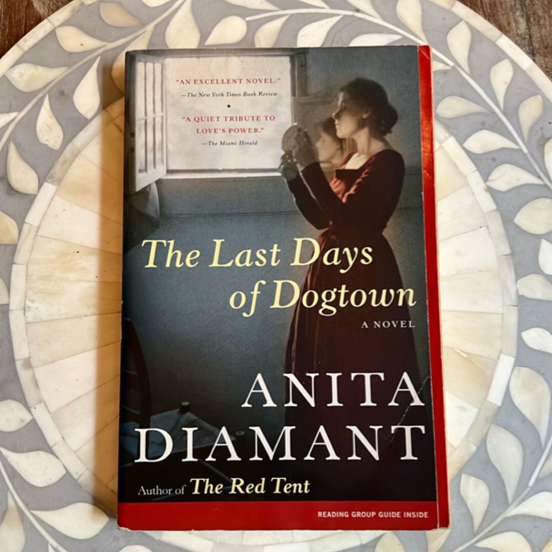 The Last Days of Dogtown