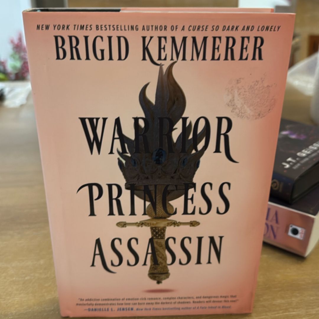 Warrior Princess Assassin