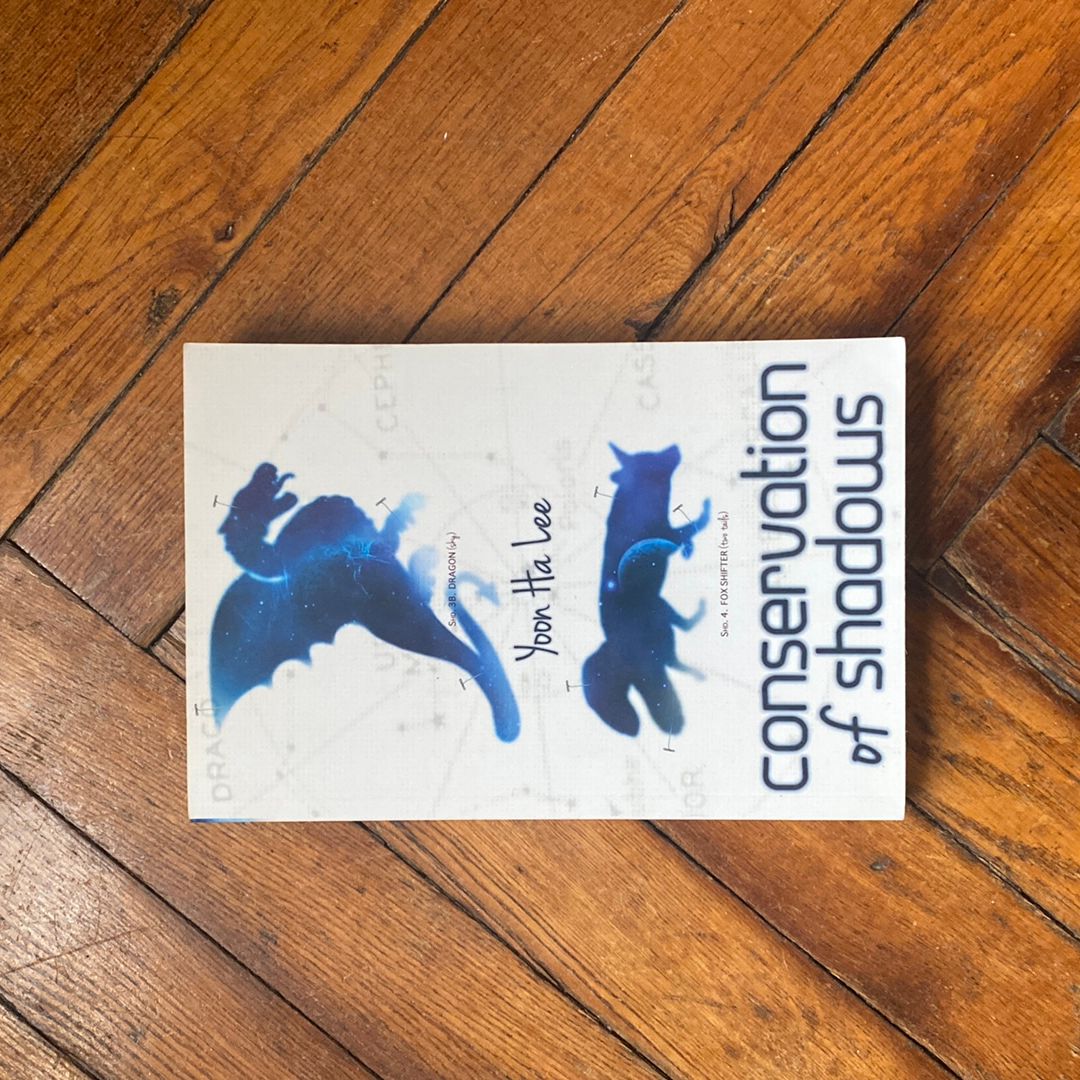 Conservation of Shadows