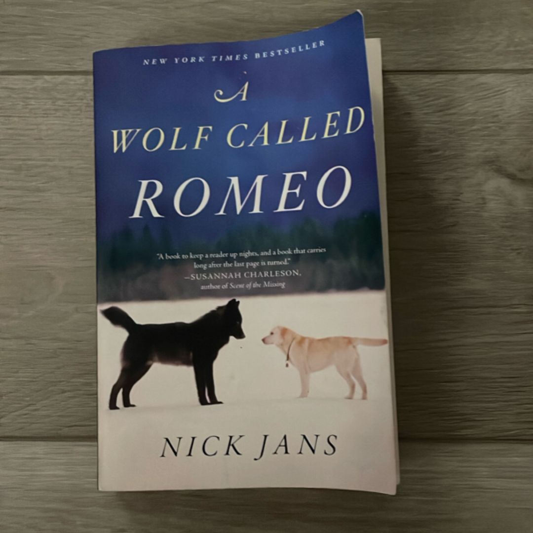A Wolf Called Romeo