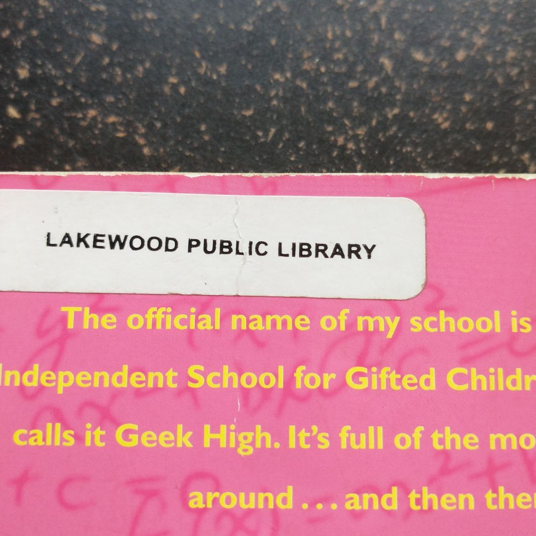 Geek High