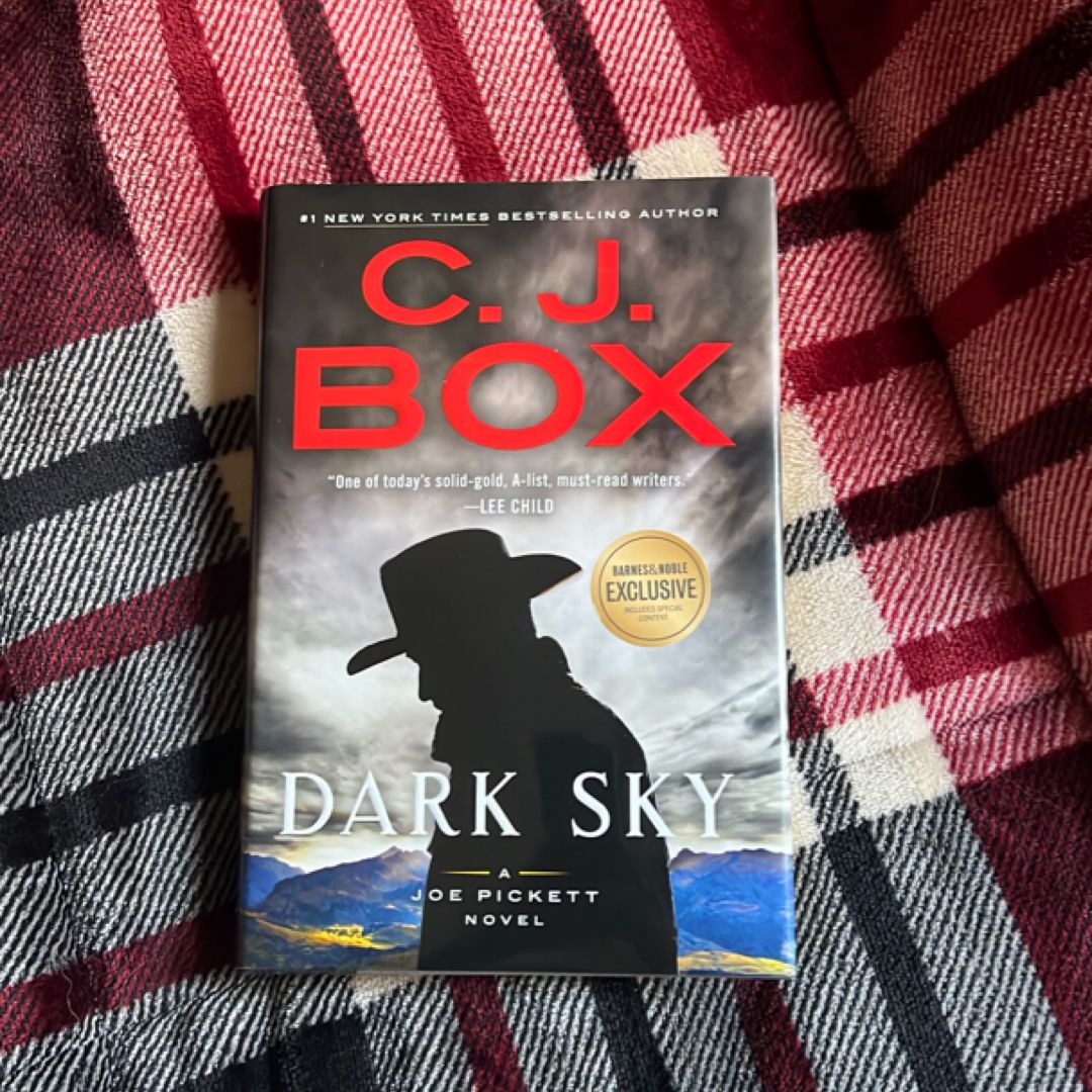 Dark Sky #21 A Joe Pickett Novel