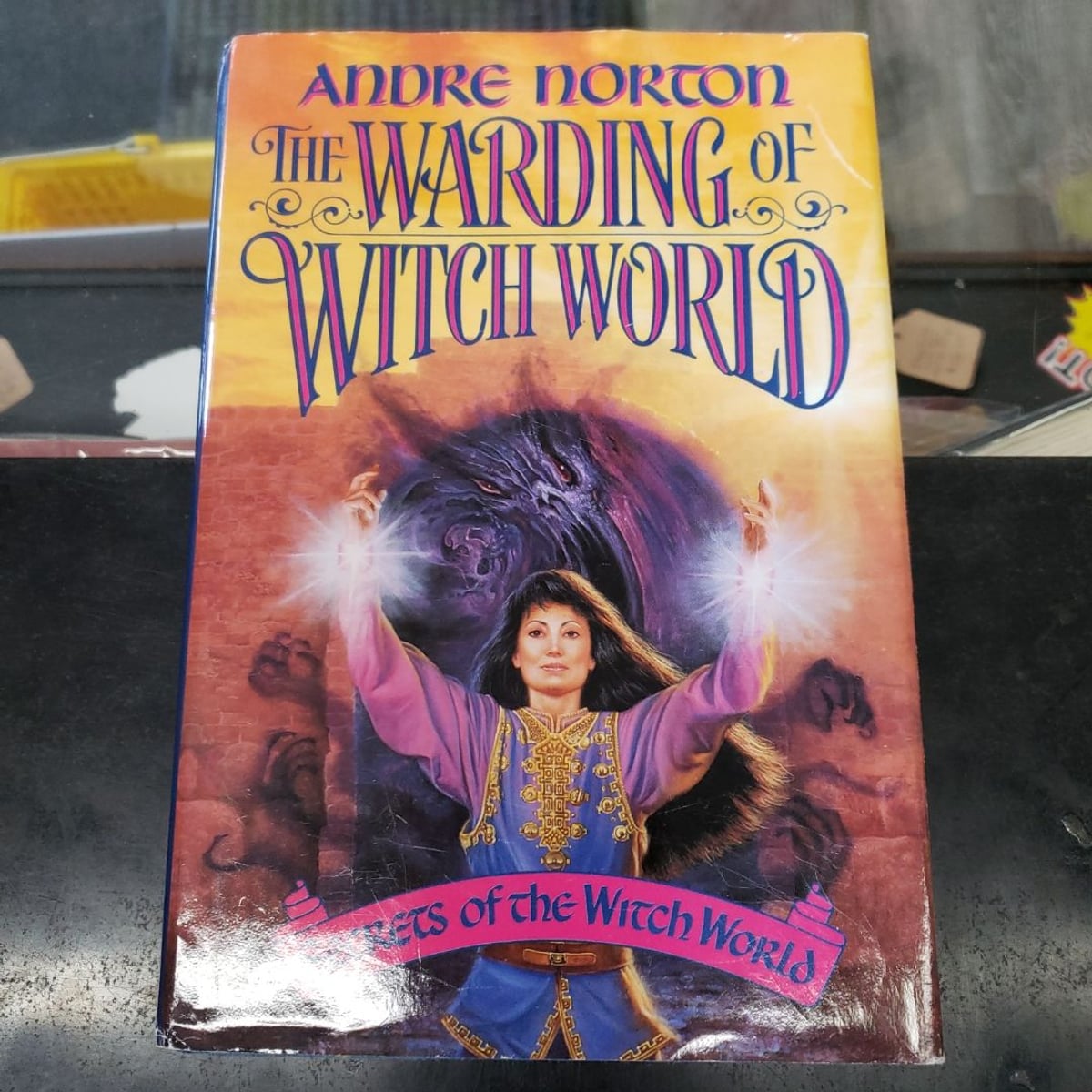 The Warding of Witch World by Andre Norton