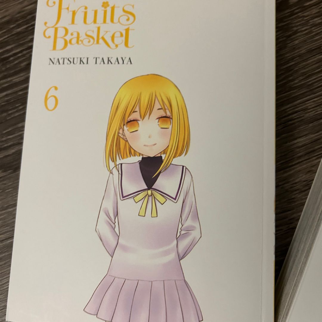 Fruits Basket Collector's Edition, Vol. 6