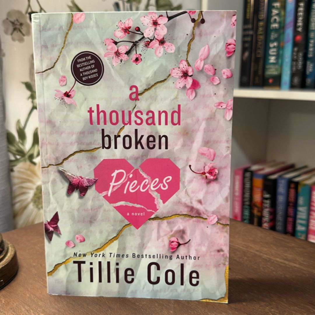 A Thousand Broken Pieces