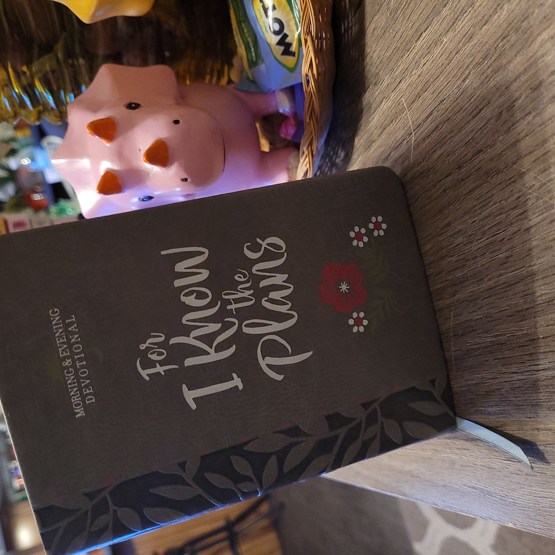 For I Know the Plans